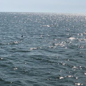 Meet your Posher, Jon